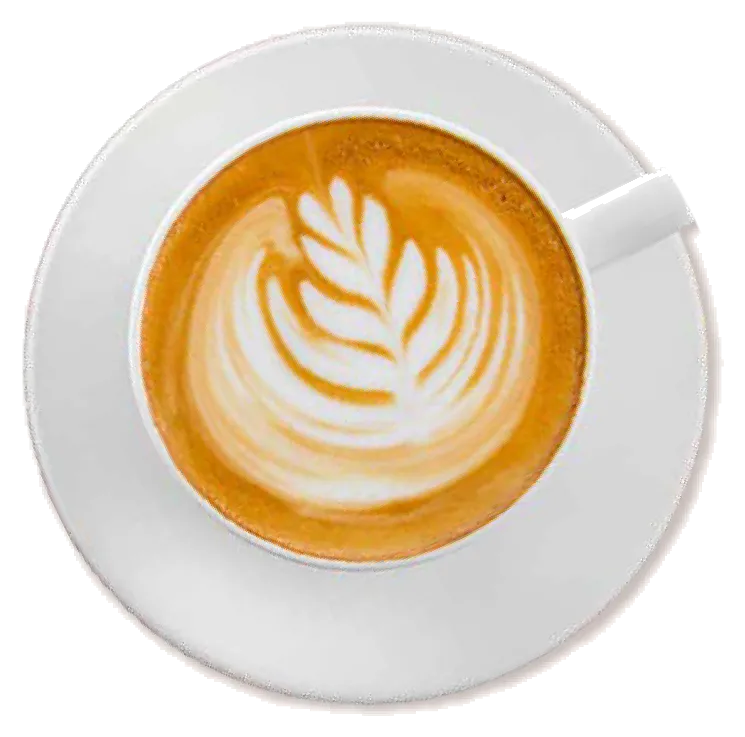 Café de especialidad
