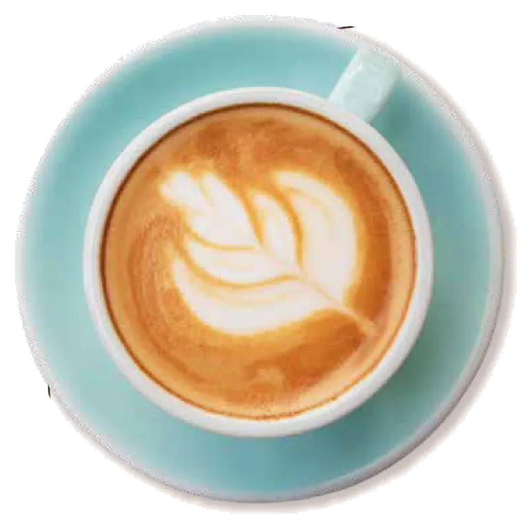 Café de especialidad